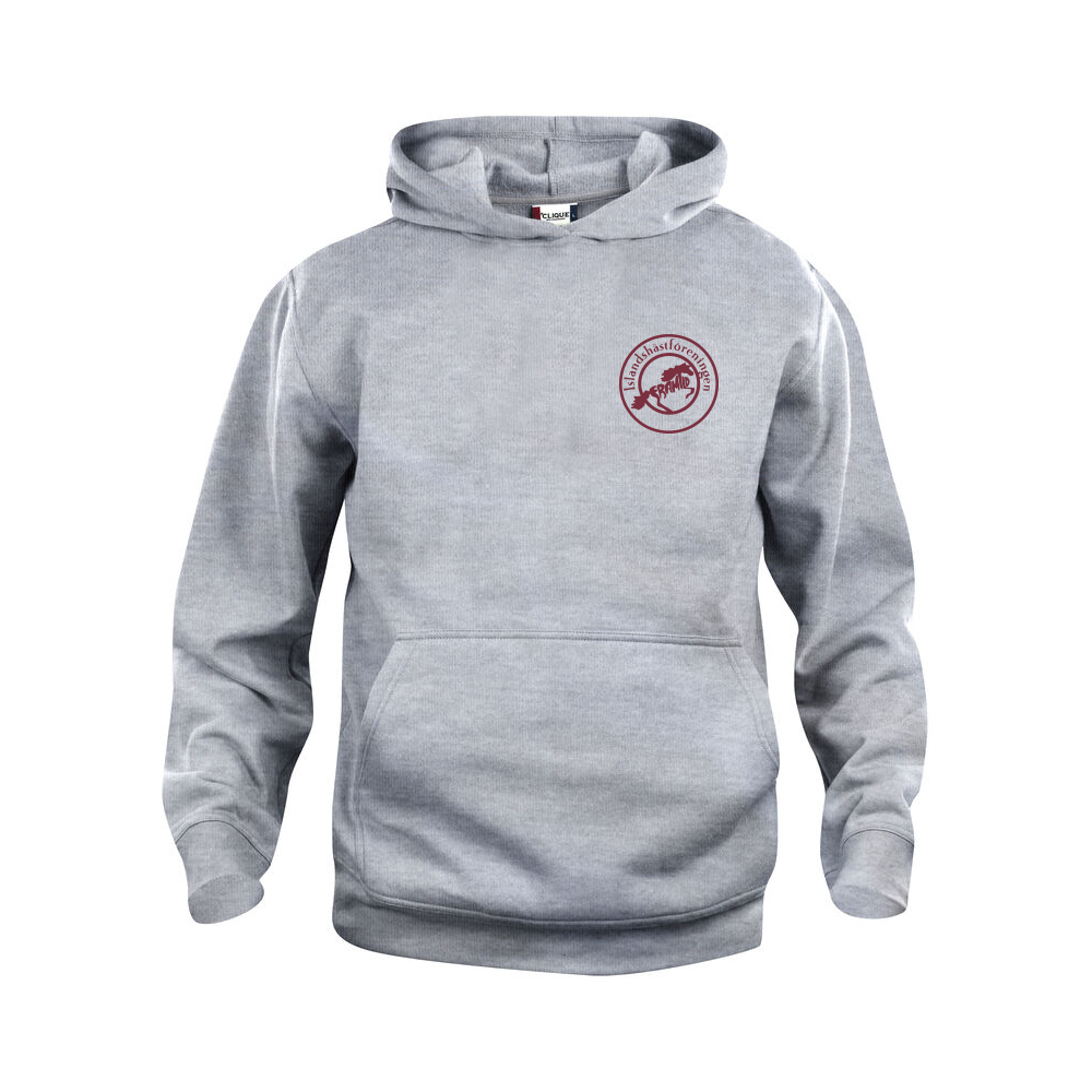 Basic Hoody JR Gråmelerad